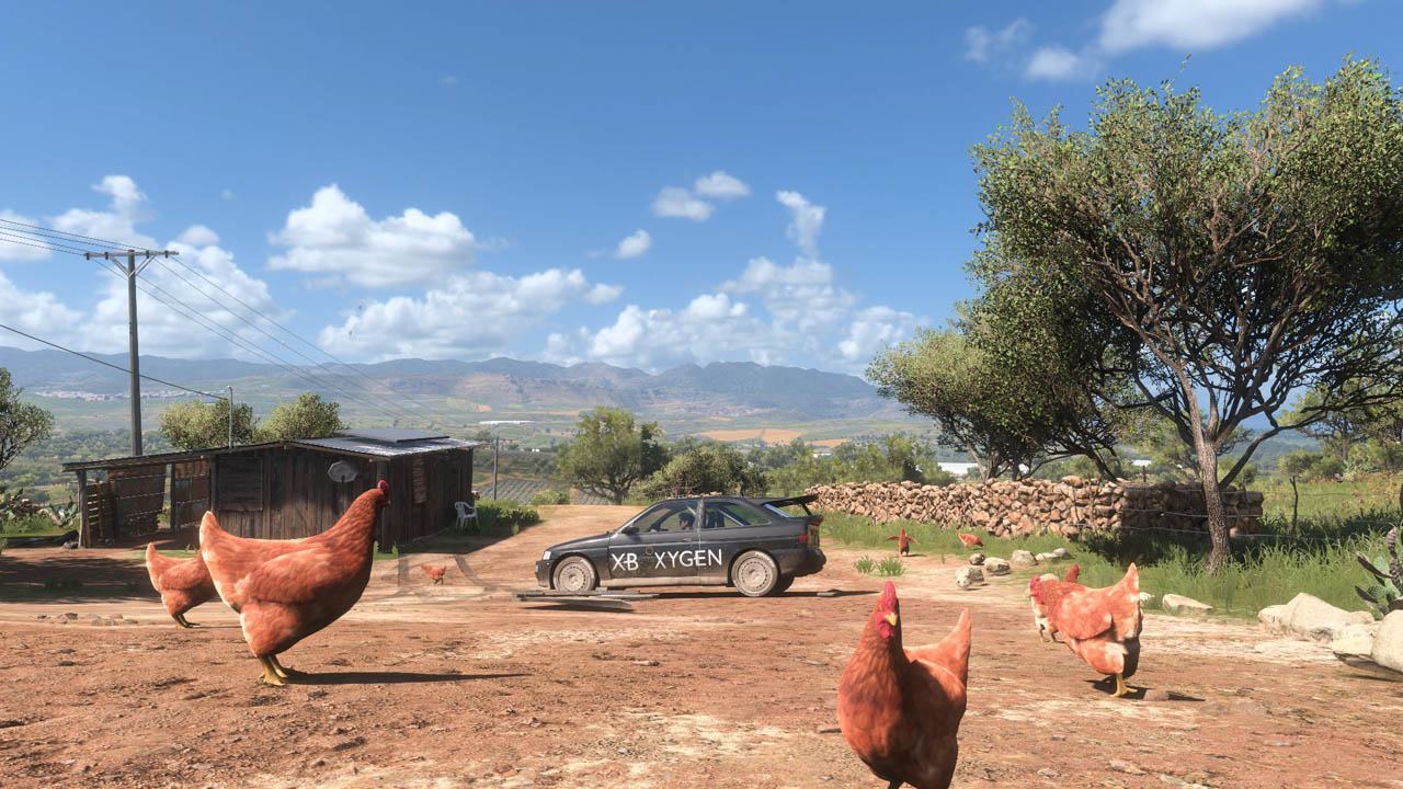 Quand les poules s'incrustent dans le décor...