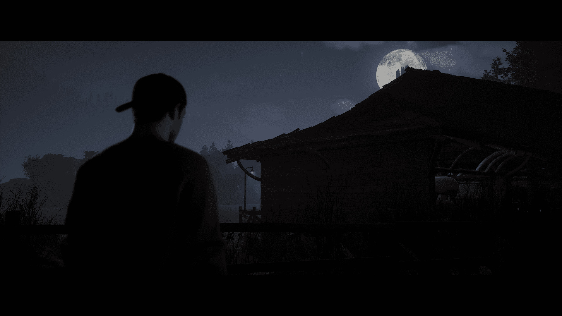 Le tout est aussi beau que sombre.