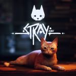 Stray sur Xbox : l’exclusivité de PlayStation est bien temporaire