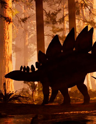 Jeu : The Lost Wild
