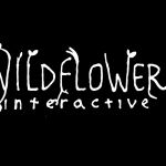 Bruce Straley, réalisateur de Uncharted 4, officialise son studio Wildflower Interactive
