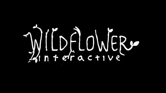 News : Bruce Straley, réalisateur de Uncharted 4, officialise son studio Wildflower Interactive