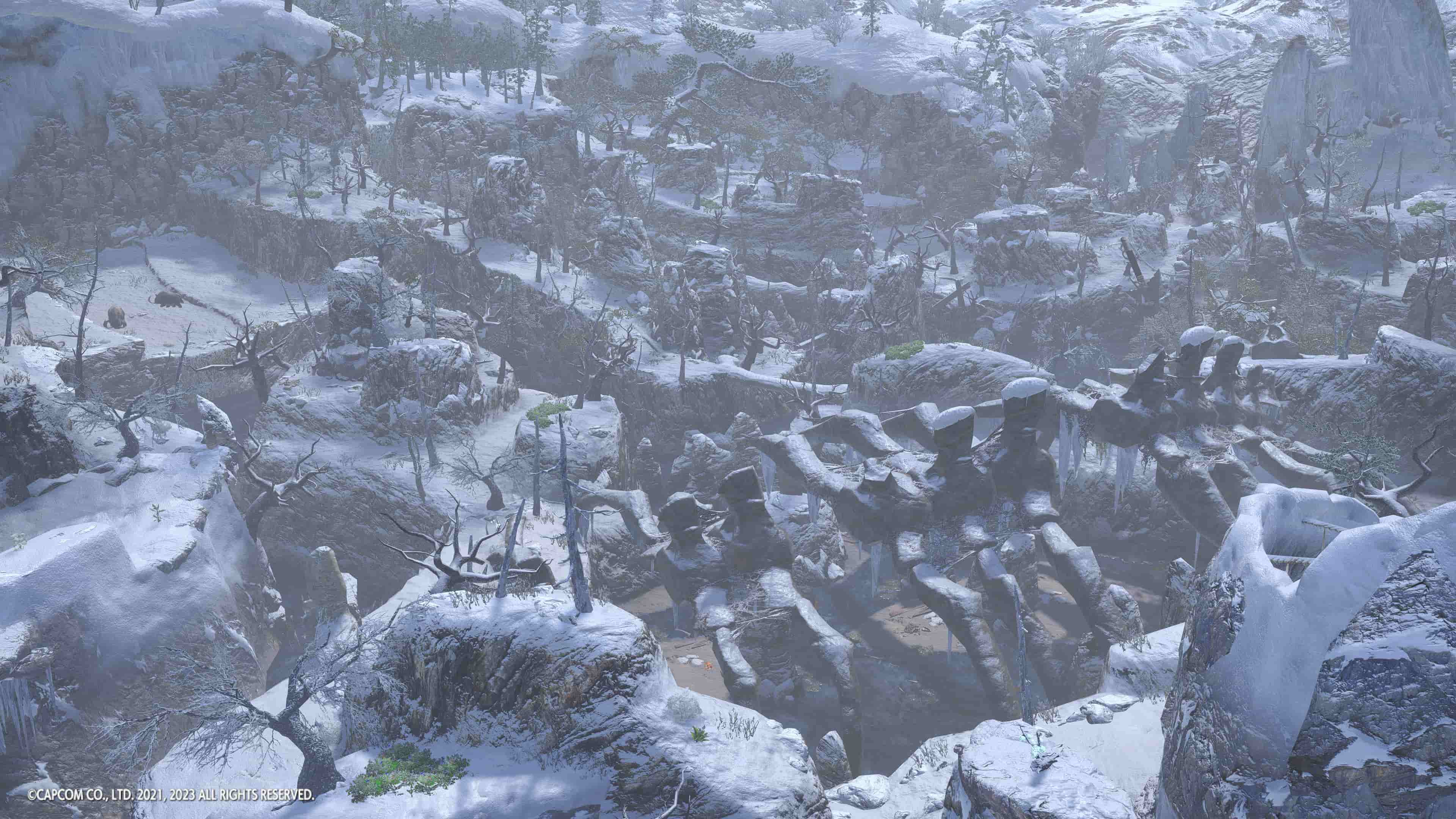 Un des biomes à explorer.