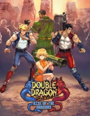 Jeu : Double Dragon Gaiden: Rise of the Dragons