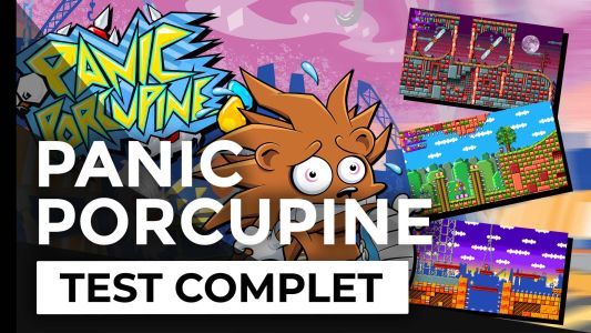Test : Test – Panic Porcupine – Le pire fan-game de Sonic
