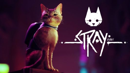 Stray : bénéficiez de 20% de réduction avant sa sortie sur Xbox