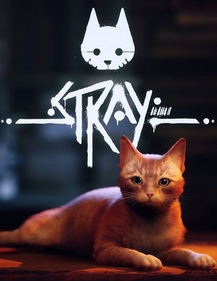 Test  – Stray – Un chat-vant mélange