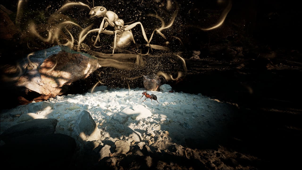 Pratique d'avoir des antennes
