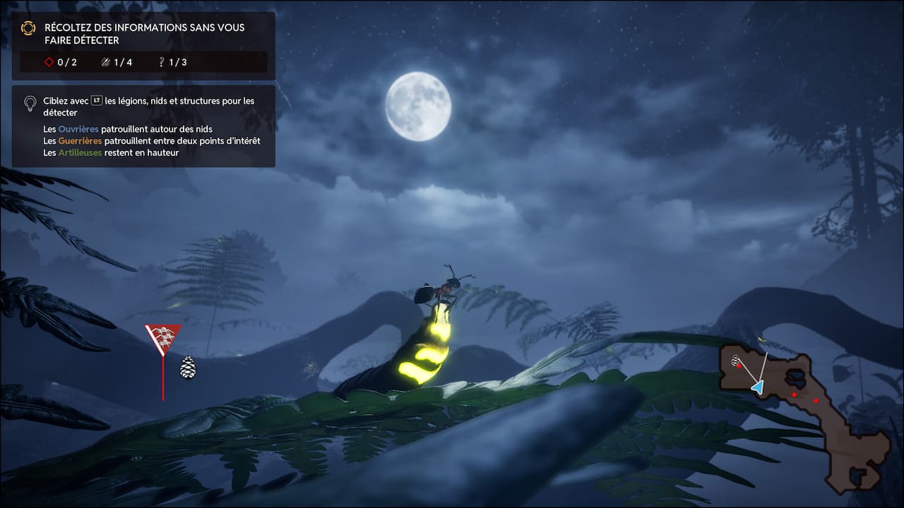 Sortie nocturne