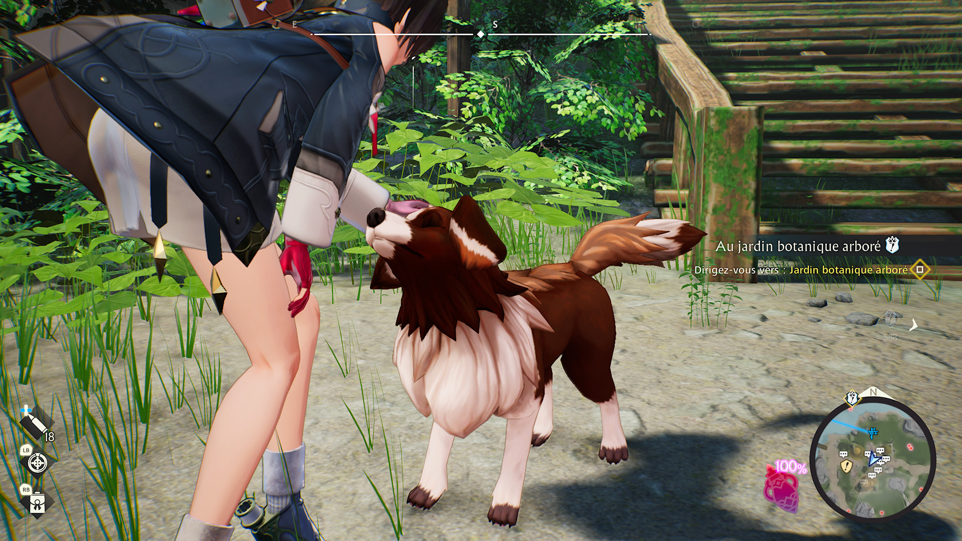 You can pet the dog !