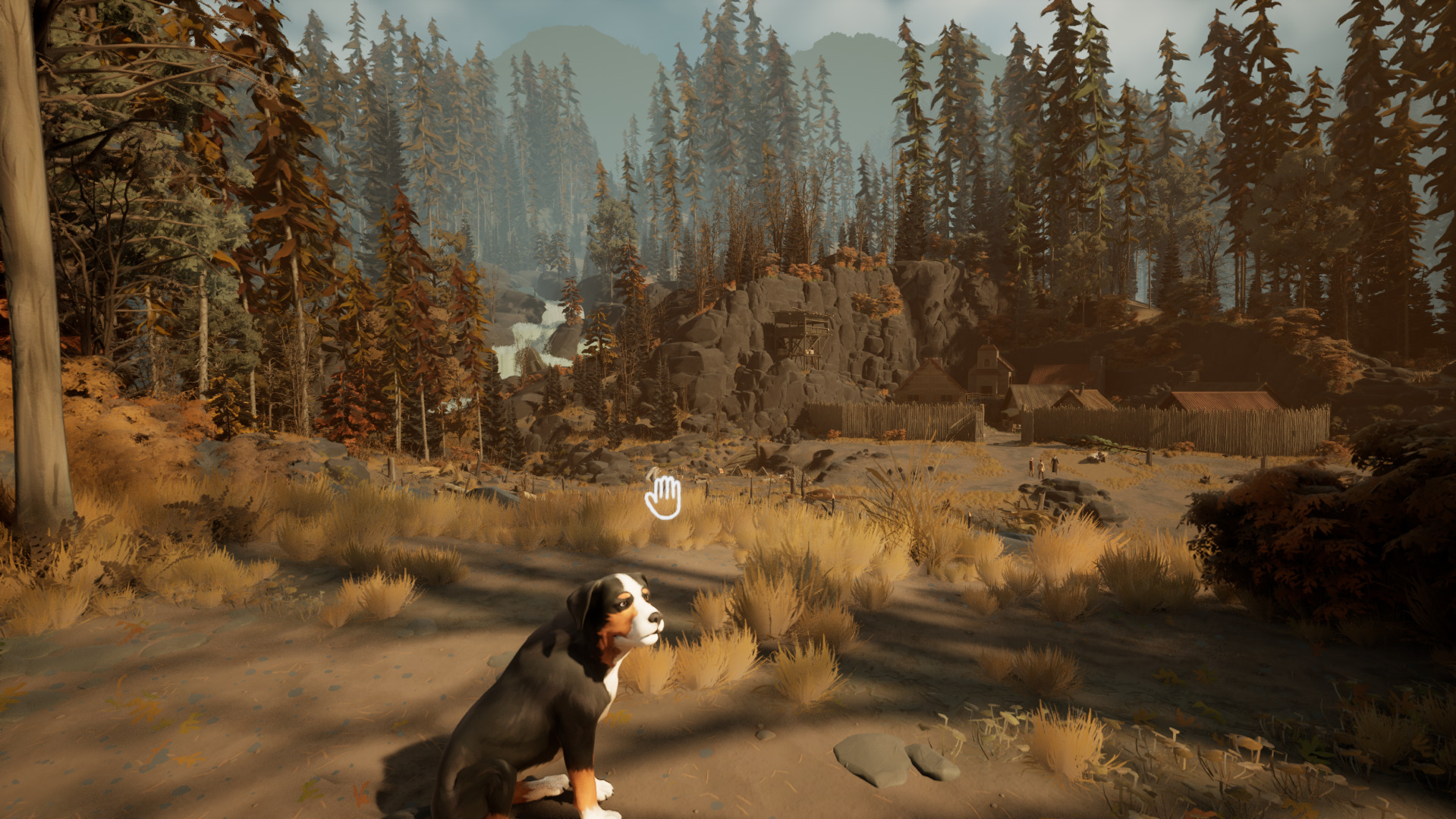 Pet the dog !