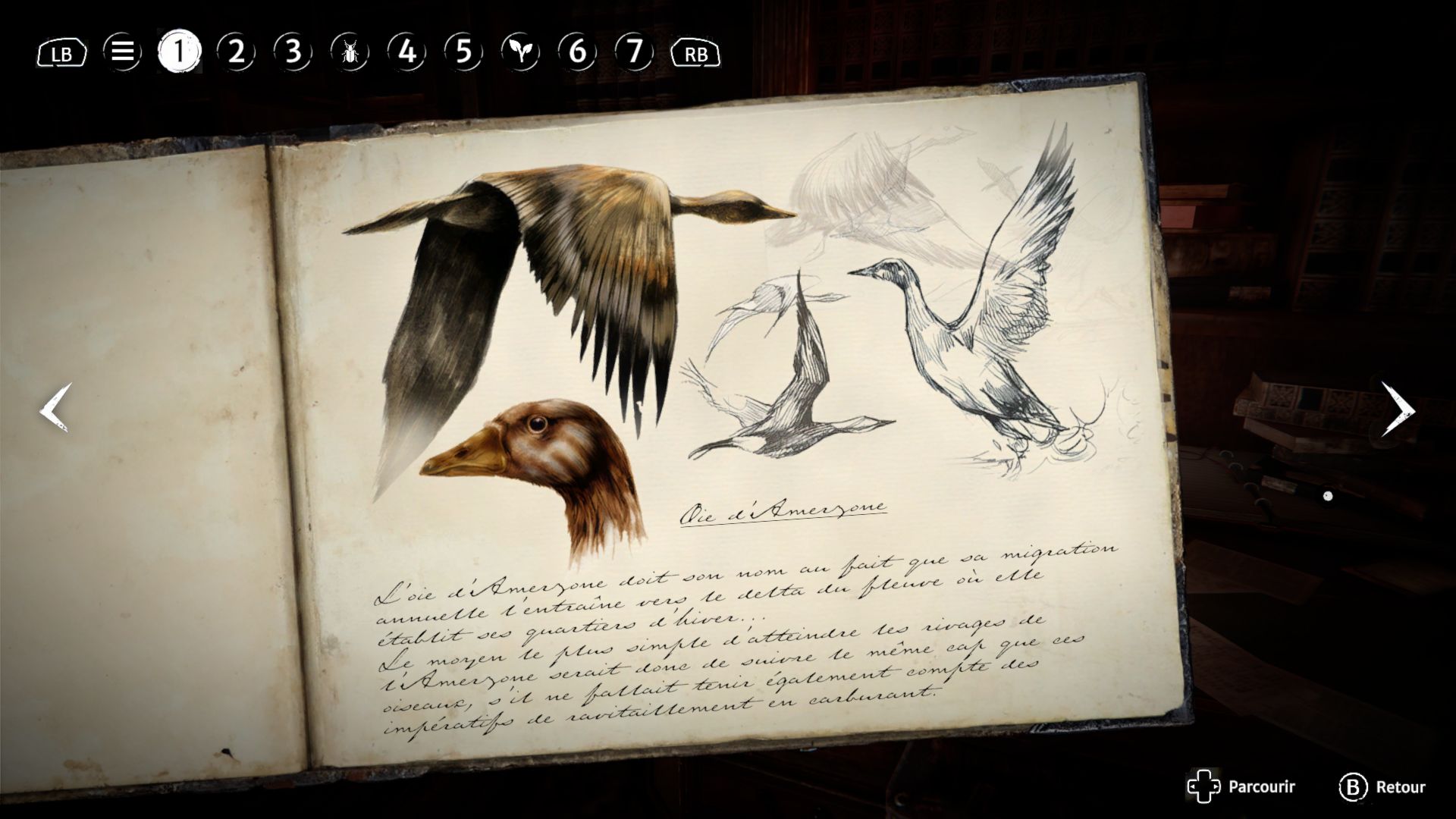 Le carnet de voyage du professeur Valembois