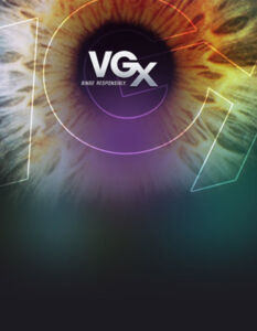VGX 2013