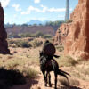 « On ne cache rien » : le studio de Crimson Desert s’agace face aux accusations sur les versions Xbox et PS5